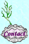 Email Us